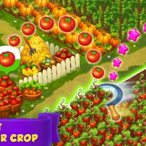 Royal Farm Source Code
