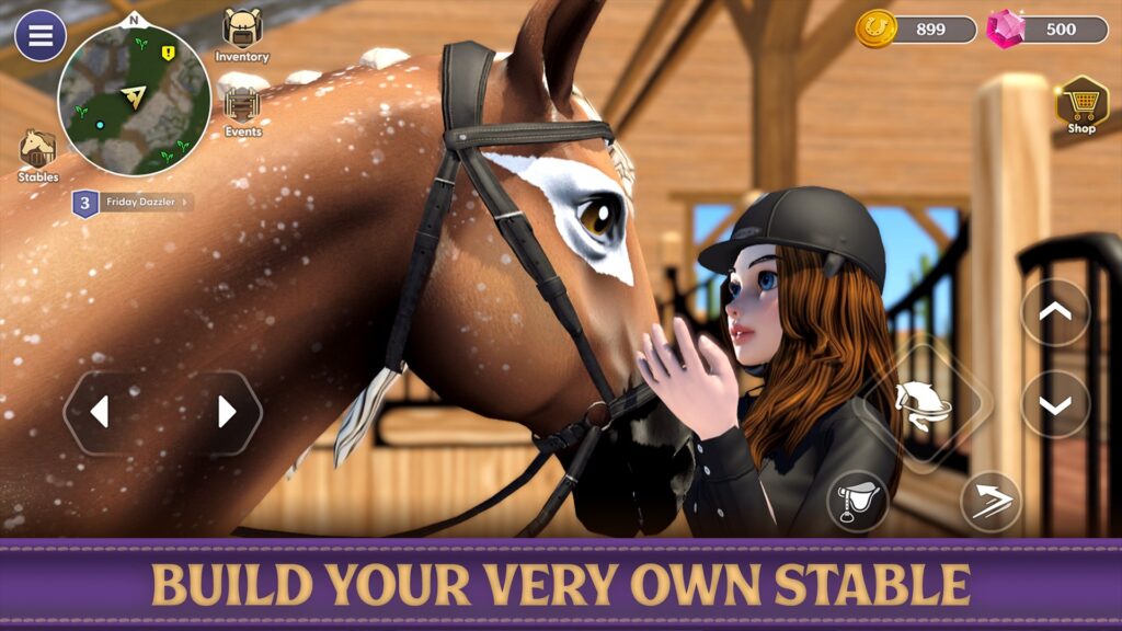 Star Equestrian Source Code screenshot