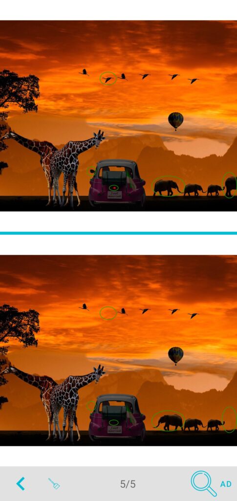Find The Different Source Code screenshot